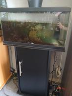 Aqarium, Dieren en Toebehoren, Vissen | Aquaria en Toebehoren, Ophalen of Verzenden, Leeg aquarium