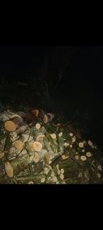 openhaard hout, Tuin en Terras, Haardhout, Minder dan 3 m³, Ophalen, Overige houtsoorten, Stammen