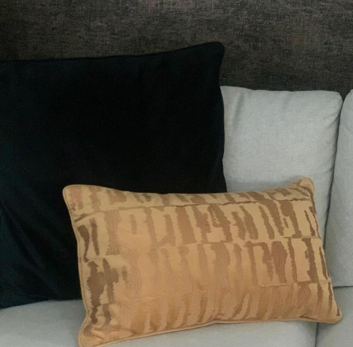 Luxe sierkussen, Huis en Inrichting, Woonaccessoires | Kussens, Zo goed als nieuw, Overige kleuren, Overige vormen, Ophalen