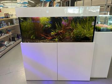 Aquaja Diamond aquarium 350L beschikbaar voor biedingen
