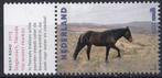 Charlotte Dumas – Rocky Road, wild paard – MNH – NVPH 3339, Na 1940, Verzenden, Postfris