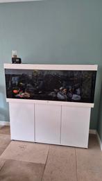 Juwel RIO 450 incl visbestand, Ophalen, Gebruikt, Gevuld zoetwateraquarium