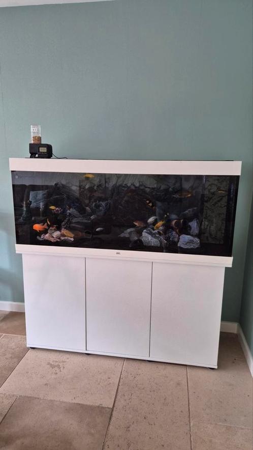 Juwel RIO 450 incl visbestand, Dieren en Toebehoren, Vissen | Aquaria en Toebehoren, Gebruikt, Gevuld zoetwateraquarium, Ophalen