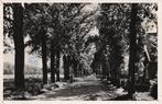 HE106 Heerde Bonenburgerlaan 1952, Verzamelen, Verzenden, Voor 1920, Gelopen, Gelderland