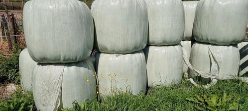Midibalen hooi voordroog verpakt, Dieren en Toebehoren, Dierenvoeding, Ophalen of Verzenden