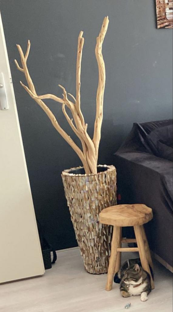 Hoge vaas met Ghost Wood Takken - Richmond Stijl, Huis en Inrichting, Kamerplanten, Overige soorten, 100 tot 150 cm, Groene kamerplant