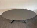 Ovale eettafel Fenix Beige Colostrai 200x100, 100 tot 150 cm, 200 cm of meer, Ophalen of Verzenden, Zo goed als nieuw