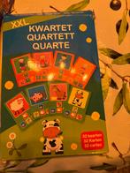 XXL Kwartetspel, Een of twee spelers, Ophalen of Verzenden, Gebruikt, Reisspel