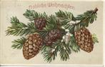 Antiek*Kerst*Relief*Denneappel s*Brocante uit 1912 *Mooi *, Ophalen of Verzenden, Voor 1920, Gelopen, Feest(dag)