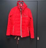 Dames skijas dare2be - rood L, Ophalen of Verzenden, Zo goed als nieuw, Jack