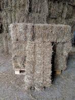 Ontstoft hooi voor paarden, Dieren en Toebehoren, Ophalen of Verzenden, Vee