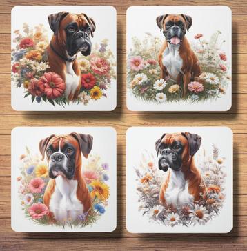 Boxer Lente onderzetters met houders beschikbaar voor biedingen