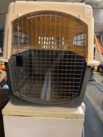 hondenbox / transportbox XXL, Dieren en Toebehoren, Ophalen, Gebruikt