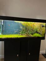 Juwel rio 240, Ophalen, Zo goed als nieuw, Leeg aquarium