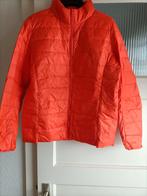Nieuwe oranje donzen jas, Ophalen of Verzenden, Nieuw, Maat 46 (S) of kleiner, Oranje