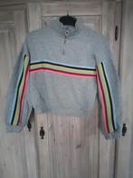Bershka trui sweater m croptop grijs grijze regenboog, Gedragen, Grijs, Maat 38/40 (M), Verzenden
