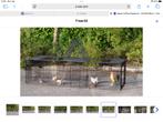 Dierenren Jeffrey / tevens grote hondenbench, Dieren en Toebehoren, Hondenbenches, Ophalen, Zo goed als nieuw