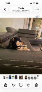 Grote lederen hoekbank antraciet/taupe - verstelbare rug, Gebruikt, 100 tot 125 cm, Hoekbank, 300 cm of meer