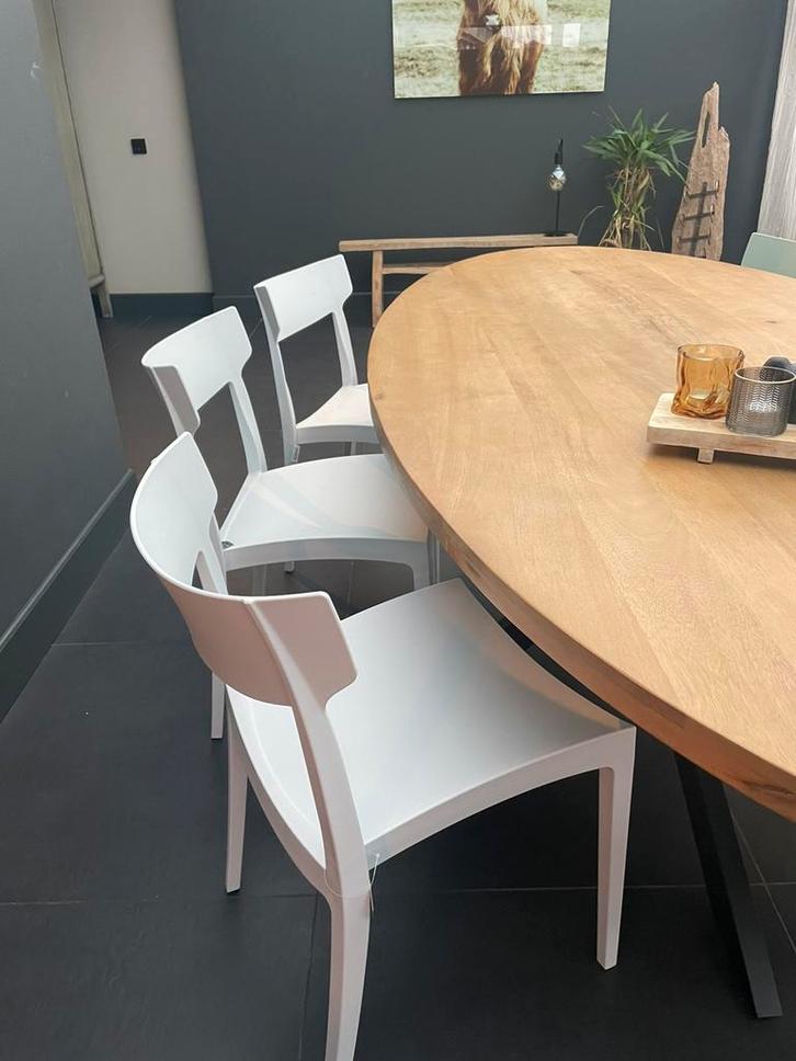 Eetkamerstoel stapelbaar in kunsstof! 5 kleuren op voorraad!, Huis en Inrichting, Stoelen, Nieuw, Vijf, Zes of meer stoelen, Kunststof