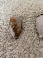 Antieke Huigjes Pijpenkoppen, Ophalen of Verzenden