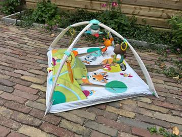 Tiny love speelkleed beschikbaar voor biedingen