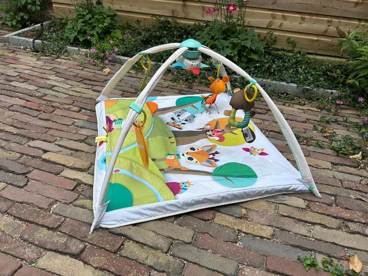 Tiny love speelkleed, Kinderen en Baby's, Speelgoed | Speelkleden, Zo goed als nieuw, Ophalen of Verzenden