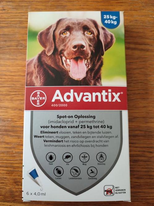 6 pipetten Bayer Advantix 25-40kg (vaste prijs), Dieren en Toebehoren, Honden-accessoires, Nieuw, Ophalen of Verzenden