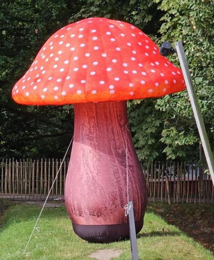Gigantische Opblaasbare Paddestoel - Blikvanger!, Hobby en Vrije tijd, Feestartikelen | Verhuur, Nieuw, Ophalen of Verzenden
