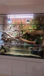 Terrarium/ vivarium, Ophalen, Zo goed als nieuw, Terrarium of Paludarium