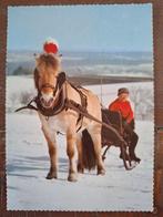 Dieren - Paard - Arreslee, Verzamelen, Ophalen of Verzenden, Ongelopen, Paard