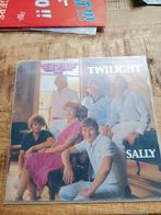 Bzn - Twilight, Cd's en Dvd's, Ophalen of Verzenden, Zo goed als nieuw, Pop