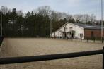 Pensionstal  vrij, Weidegang, 2 of 3 paarden of pony's