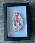 Prachtige oesterschelpen - handmade - uniek kado idee, Ophalen of Verzenden