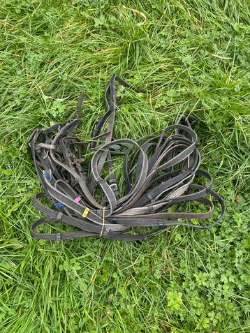 Paarden teugels te ruil/koop beschikbaar voor biedingen
