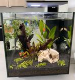Aquarium Superfish Qubiq 30 pro zwart - 30 liter, Ophalen, Zo goed als nieuw, Leeg aquarium