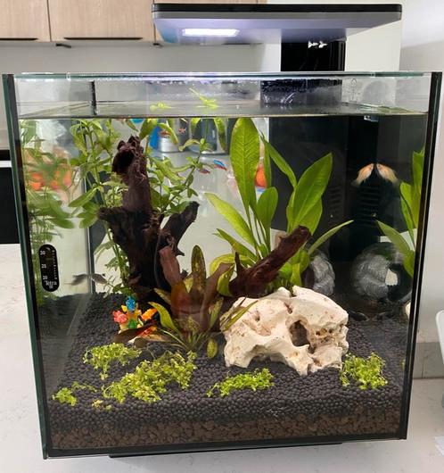 Aquarium Superfish Qubiq 30 pro zwart - 30 liter, Dieren en Toebehoren, Vissen | Aquaria en Toebehoren, Zo goed als nieuw, Leeg aquarium