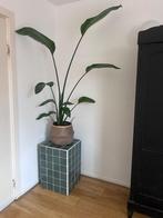 Tegeltafeltje bijzettafel, Huis en Inrichting, Tafels | Bijzettafels, Ophalen, Minder dan 55 cm, Zo goed als nieuw, 60 cm of meer