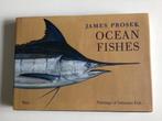 Ocean fishes, paintings of fishes., Boeken, Natuur, Ophalen of Verzenden, Zo goed als nieuw, Overige onderwerpen