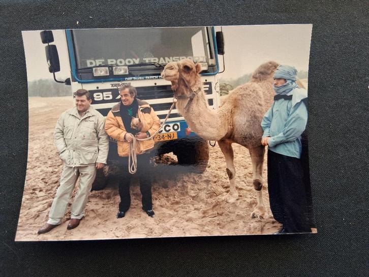 persfoto DAF 95 X1 Paris Dakar 1988 Jan de Rooij in woestijn, Verzamelen, Automerken, Motoren en Formule 1, Zo goed als nieuw