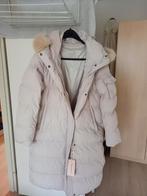 Nieuwe dames winterjas, Kleding | Dames, Jassen | Winter, Ophalen of Verzenden, Nieuw, Maat 46/48 (XL) of groter, Beige