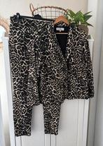 &Co Woman travelstof pak maat xxl, Kleding | Dames, Bruin, Maat 46/48 (XL) of groter, Ophalen of Verzenden, Zo goed als nieuw