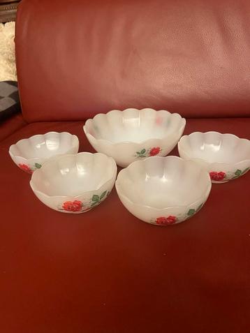 Arcopal Schalen Set - Vintage Roos Design beschikbaar voor biedingen