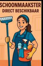 SCHOONMAAKSTER NODIG? RIDDERKERK, ZWIJNDRECHT, HENDRIK IDO, Overige niveaus, Vanaf 10 jaar, Overige vormen