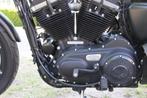 Harley-Davidson XL 883 Iron 883, Chopper, Bedrijf, 883 cc, Meer dan 35 kW