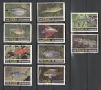 Lucifermerken, Rizla  (830), Verzenden, Gebruikt, Luciferdoosjes of -merken