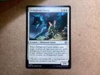 1x Driftgloom Coyote [0011] (Near Mint), Hobby en Vrije tijd, Verzamelkaartspellen | Magic the Gathering, Ophalen of Verzenden