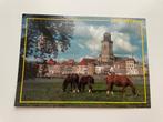 D498 Ansichtkaart Deventer : Paarden Wei met Lebuinuskerk, Ophalen of Verzenden, 1980 tot heden, Ongelopen, Overijssel