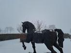 Metalen paard, Tuin en Terras, Tuinbeelden, Ophalen, Zo goed als nieuw, Metaal, Dierenbeeld