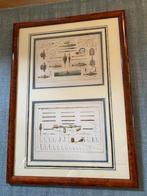 Wanddecoratie oude hengelsport litho's, Ophalen, Zo goed als nieuw