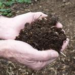 Pure paardenmest/compost, Tuin en Terras, Aarde en Mest, Ophalen, Compost
